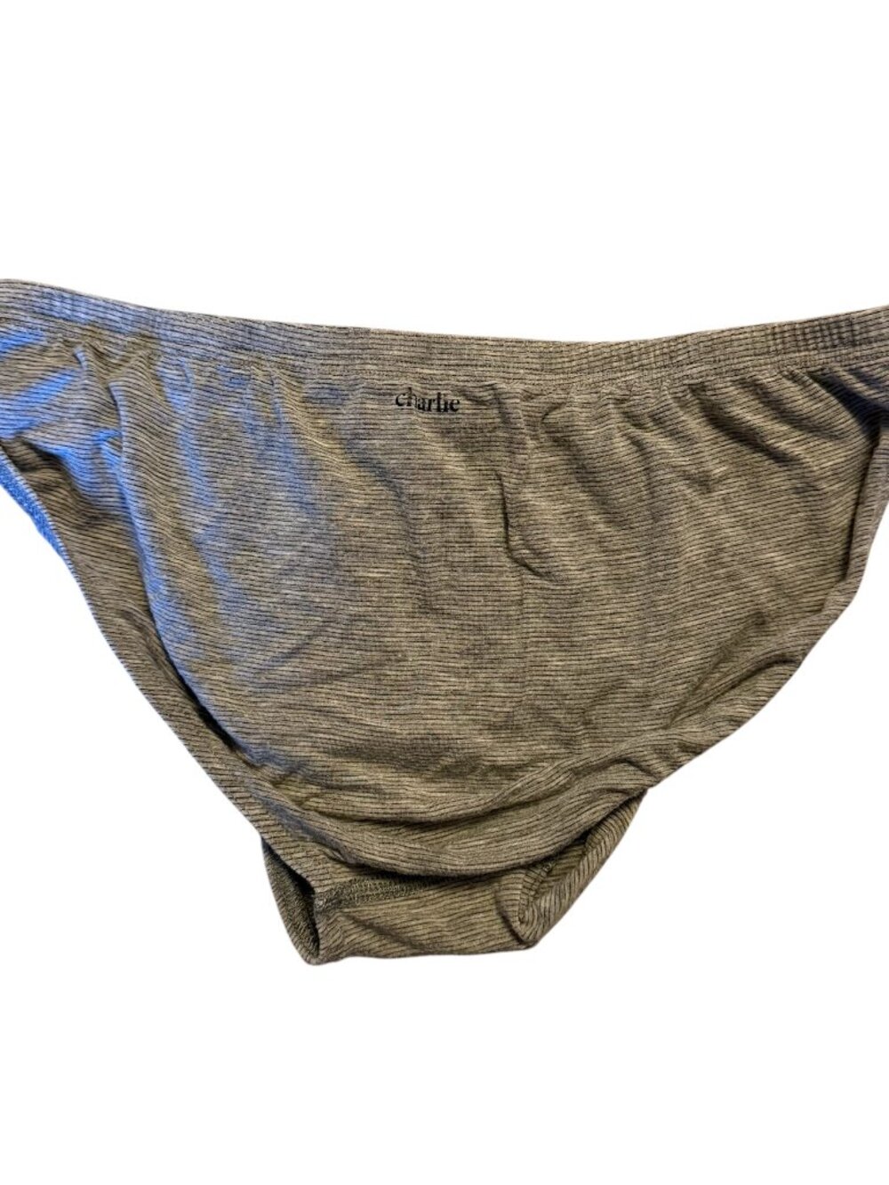 Charlie by MZ BIKINI BRIEF - FEATHERWEIGHT Grey Micro Stripe - Micromodal Large - Picture 2 of 5